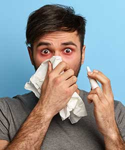 Allergic rhinitis