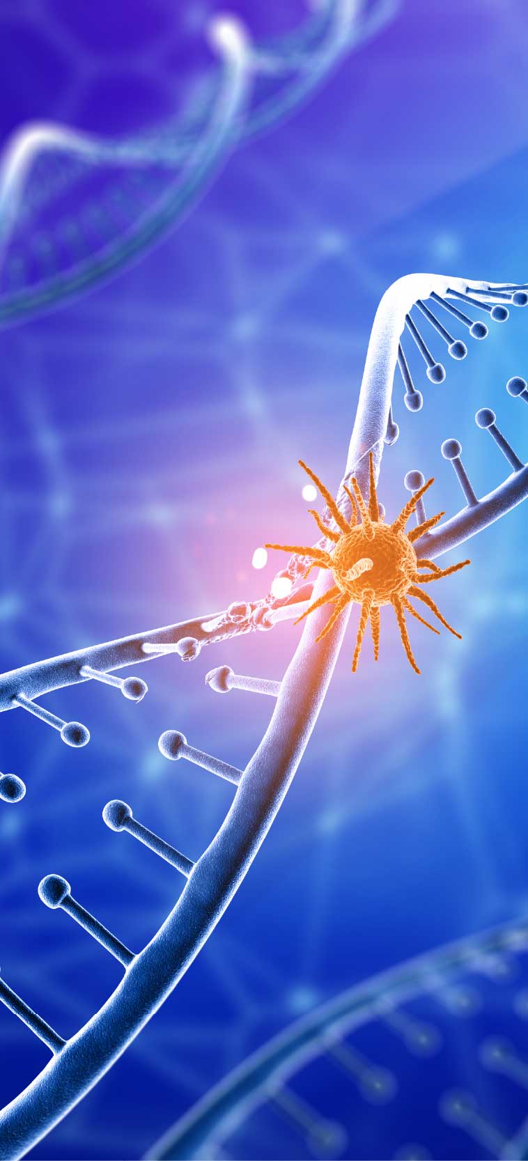 Primary Immunodeficiency Disorders